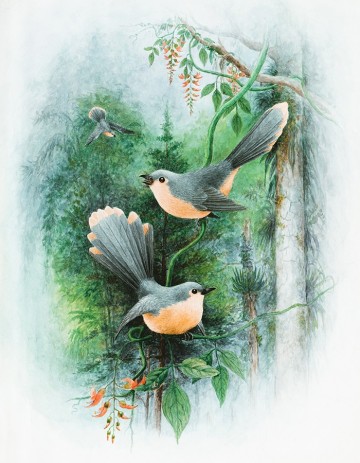 Mountain fox cushion