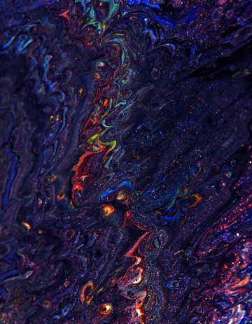 Hummingbird printed sweater