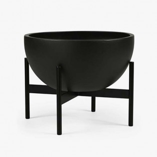 Hummingbird - Vector graphics