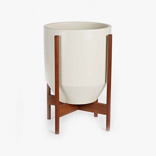 Mountain fox - Vector graphics